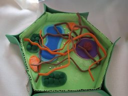 58964279313148875004391951213277171734134462n